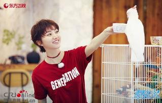 娱乐吃瓜社王源