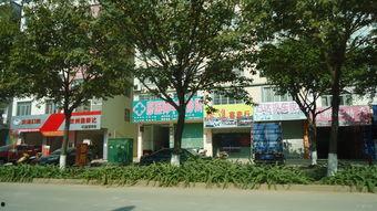 国产综合社区,打造多元化互动平台，引领网络文化新潮流  第2张